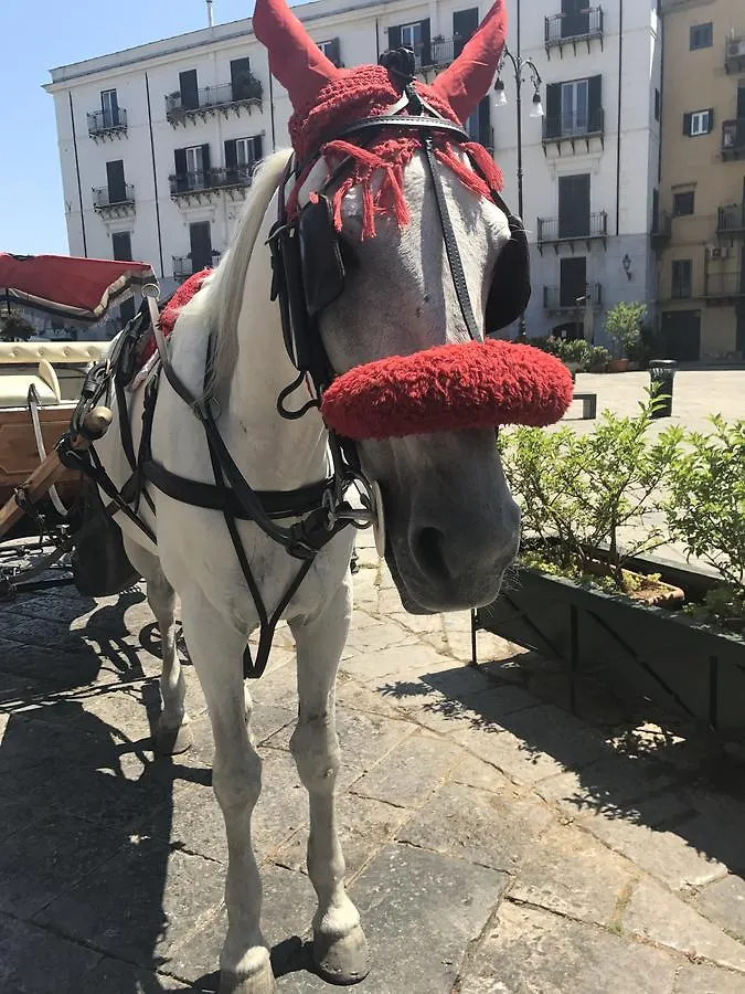 Guest house Petrosino Hotel Palermo